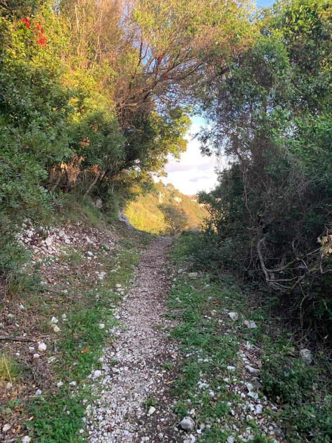 Ermones Little House Διαμέρισμα Βάτος Εξωτερικό φωτογραφία