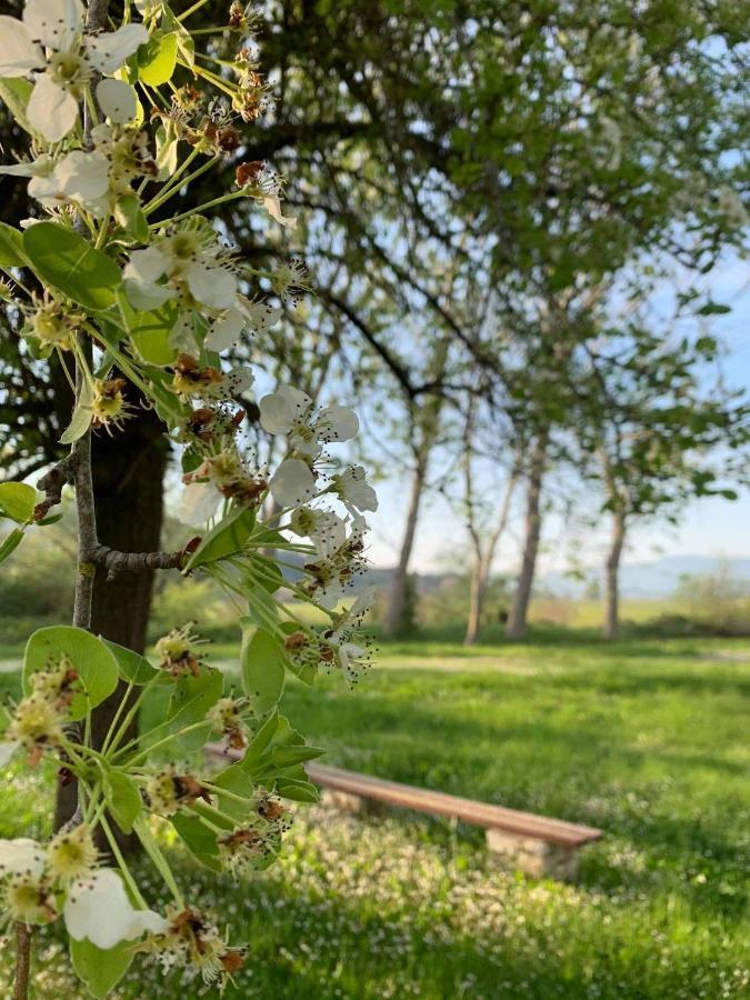 Ermones Little House Διαμέρισμα Βάτος Εξωτερικό φωτογραφία